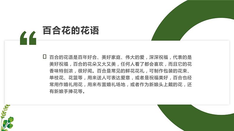 北师大版小学劳动六年级上册同步课件活动13丝网绽放百合花08