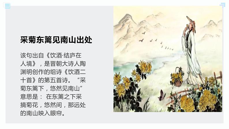 北师大版小学劳动五年级上册同步课件活动八采菊东篱见南山第5页