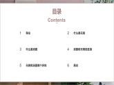 北师大版小学劳动三年级上册同步课件活动四当元宵遇到汤圆