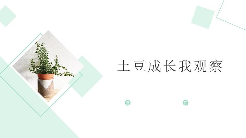 北师大版小学劳动三年级上册同步课件活动八土豆成长我观察01