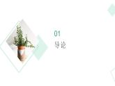 北师大版小学劳动三年级上册同步课件活动八土豆成长我观察