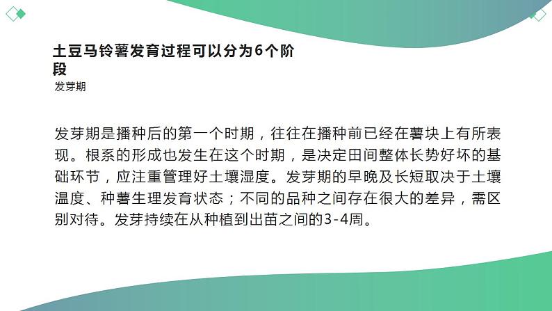 北师大版小学劳动三年级上册同步课件活动八土豆成长我观察07