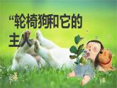 粤教版小学四年级劳动 “轮椅狗”和它的主人 课件