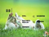 粤教版小学四年级劳动 “轮椅狗”和它的主人 课件