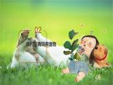 粤教版小学四年级劳动 “轮椅狗”和它的主人 课件