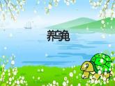 粤教版小学四年级劳动 养乌龟 课件
