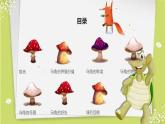 粤教版小学四年级劳动 养乌龟 课件