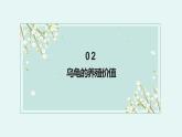 粤教版小学四年级劳动 养乌龟 课件