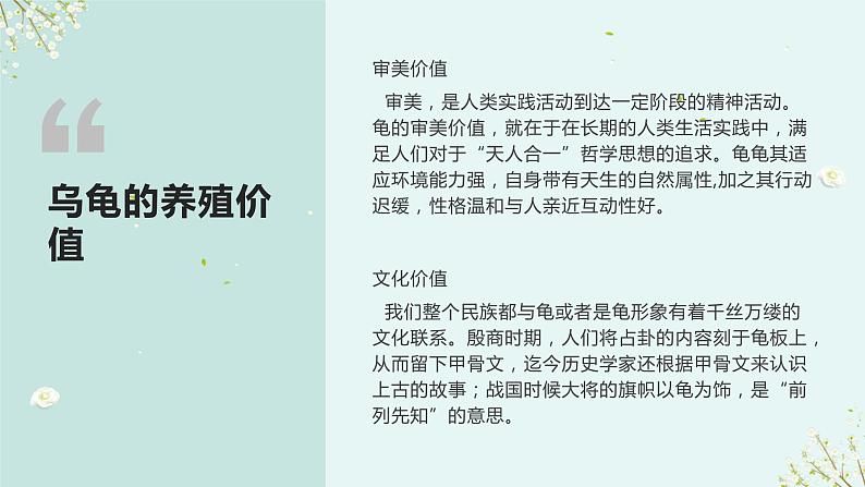 粤教版小学四年级劳动 养乌龟 课件06