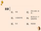 粤教版小学四年级劳动 养金鱼 课件