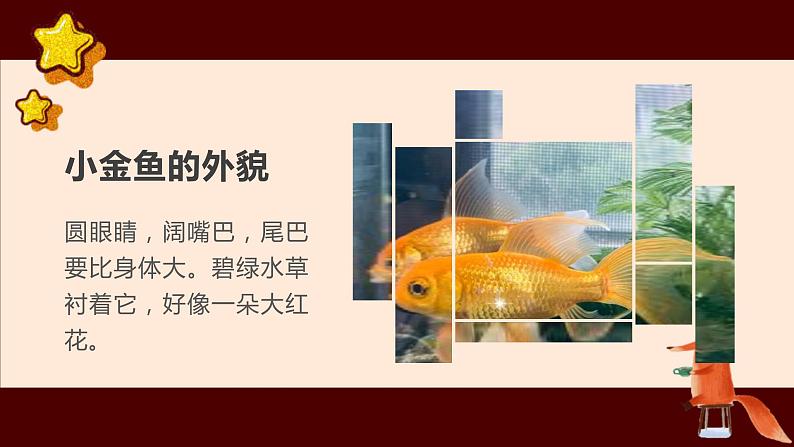 粤教版小学四年级劳动 养金鱼 课件08