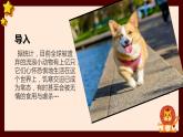 粤教版小学四年级劳动 让动物不再流浪 课件
