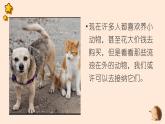 粤教版小学四年级劳动 让动物不再流浪 课件