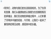 粤教版小学四年级劳动 饲养动物的学问 课件