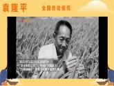 小学劳动教育 四年级 活动15《走近劳动模范》第一课时  课件