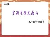 小学劳动教育 北师大版 五年级《采菊东篱见 》 课件