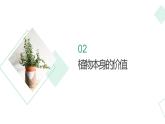 北师大版小学劳动二年级上册 活动10豆芽种植我在行 课件