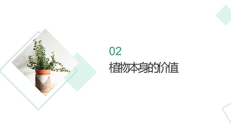 北师大版小学劳动二年级上册 活动10豆芽种植我在行 课件05