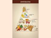 北师大版小学劳动四年级上册同步课件活动3膳食营养小专家