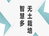 北师大版小学劳动四年级上册同步课件活动8无土栽培智慧多