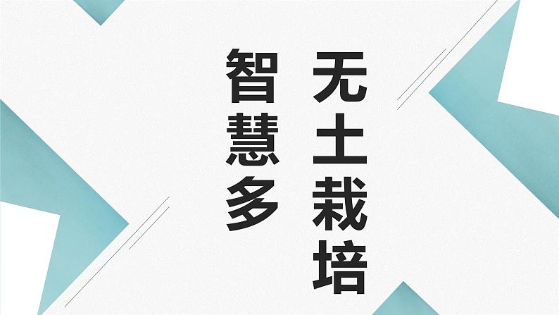 北师大版小学劳动四年级上册同步课件活动8无土栽培智慧多01