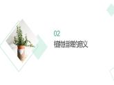 北师大版小学劳动四年级上册同步课件活动14我给植物来挂牌