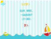 鄂教版小学三年级劳动同步课件第七课种呀种呀种萝卜
