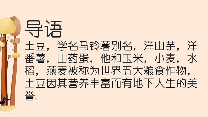 鄂教版小学四年级劳动同步课件第四课小炒一个土豆丝第2页