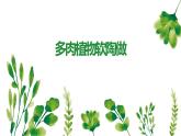 鄂教版小学六年级劳动同步课件多肉植物软陶做