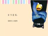 粤教版三年级第四单元展示台夸夸我的阳台  课件