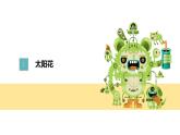 粤教版三年级第四单元活动1种盆太阳花  课件
