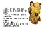 粤教版三年级第四单元活动1种盆太阳花  课件