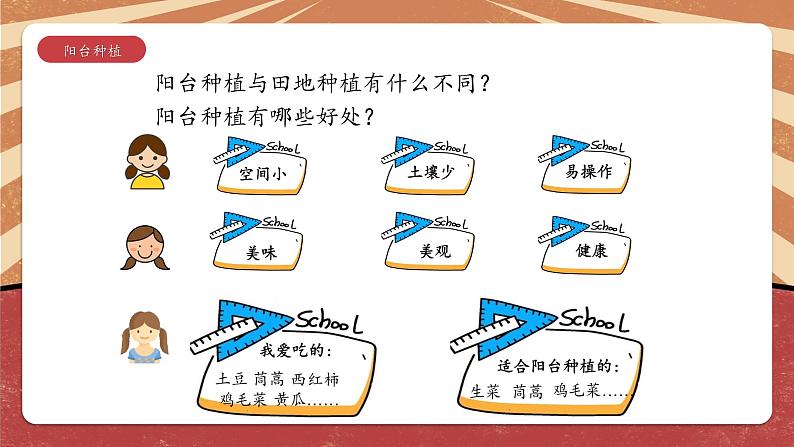 六年级活动7《小空间大农场》第一、二课时课件PPT第4页