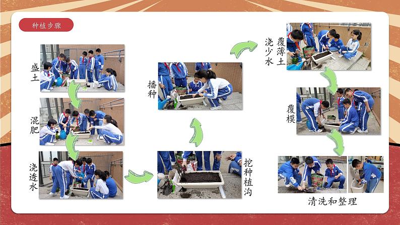 六年级活动7《小空间大农场》第一、二课时课件PPT第6页