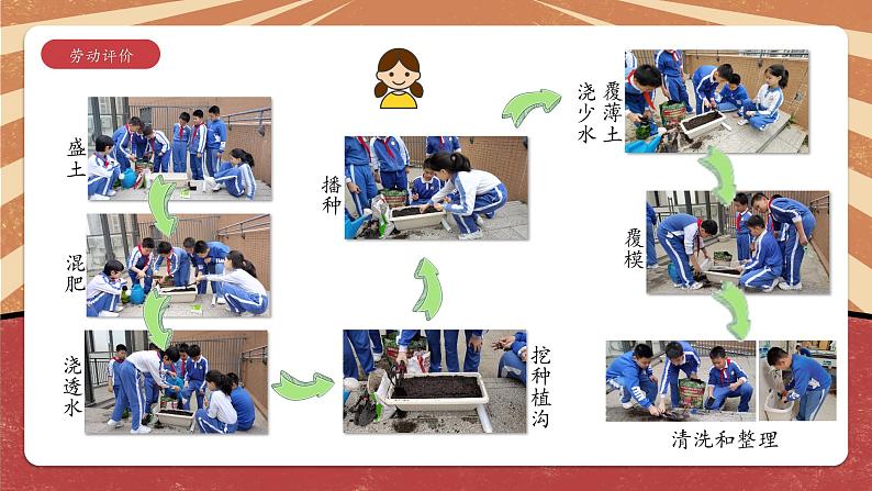 六年级活动7《小空间大农场》第一、二课时课件PPT第7页