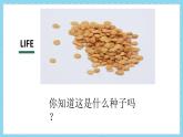鄂教版小学五年级劳动同步课件第11课我是快乐小菜农