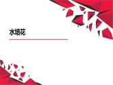 湘教版高年级第二单元第7课水培花  课件