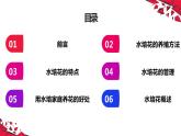 湘教版高年级第二单元第7课水培花  课件