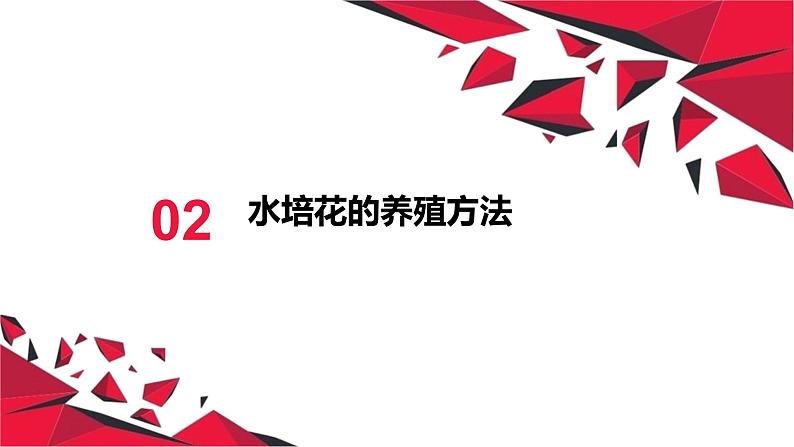 湘教版高年级第二单元第7课水培花课件PPT第6页