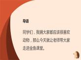 湘教版高年级第二单元第8课金鱼饲养  课件