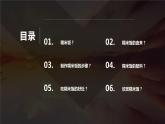 湘教版高年级第三单元第12课五色糯米饭  课件