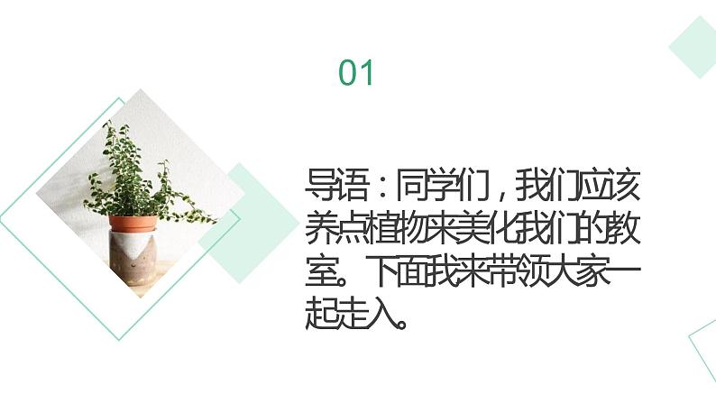 浙教版小学二年级劳动同步课件任务一班级植物角我设计03