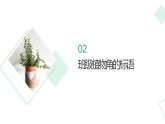 浙教版小学二年级劳动同步课件任务一班级植物角我设计