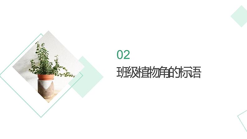 浙教版小学二年级劳动同步课件任务一班级植物角我设计05