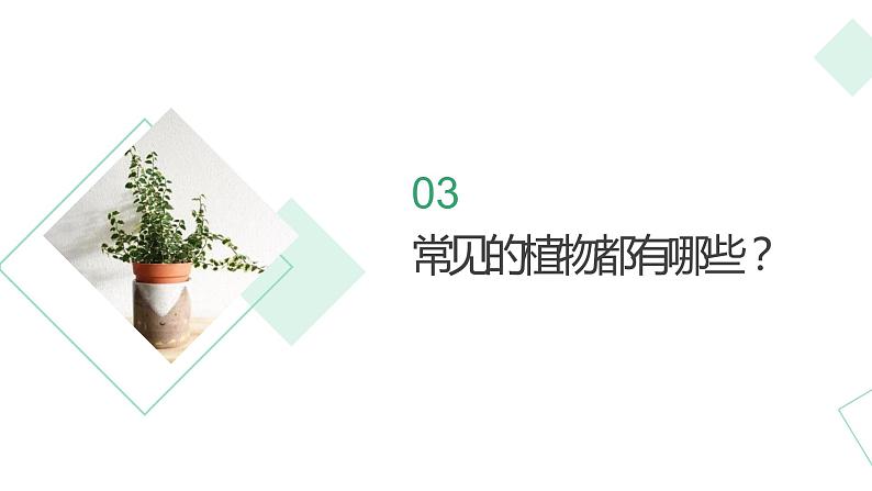 浙教版小学二年级劳动同步课件任务一班级植物角我设计07