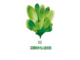 浙教版小学二年级劳动同步课件任务三班级植物我养护