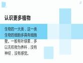 浙教版小学二年级劳动同步课件任务二班级植物角我创建