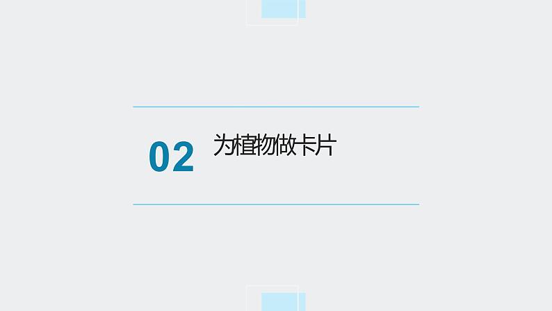 浙教版小学二年级劳动同步课件任务二班级植物角我创建06