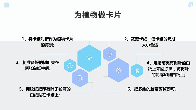 浙教版小学二年级劳动同步课件任务二班级植物角我创建07