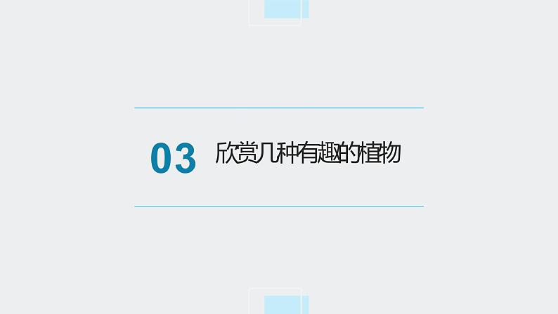 浙教版小学二年级劳动同步课件任务二班级植物角我创建08